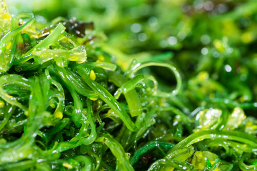 Kelp Salad background image
